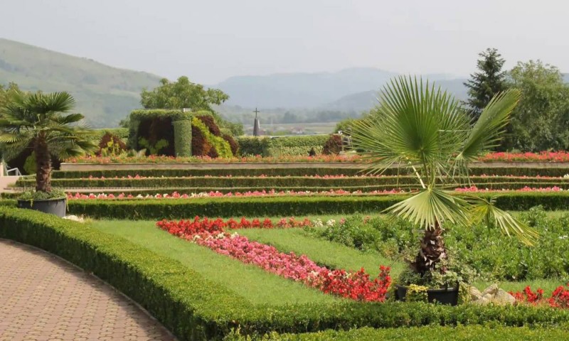 Excursie la Grădina Botanică Jibou Excursie la Grădina Botanică Jibou